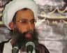 Nimr al-Nimr