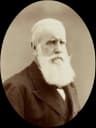 Pedro II of Brazil