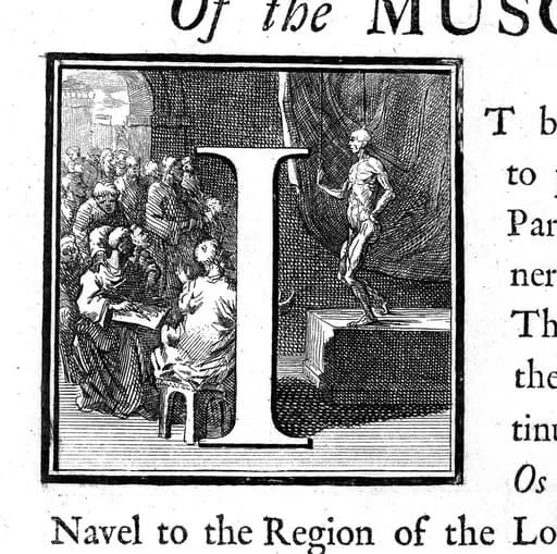 William Cowper - Myotomia reformata, by William Cowper