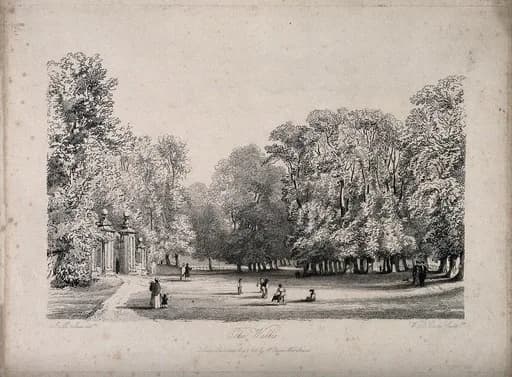 Joseph Murray - The Walks, Oxford. Etching by W.B. Cooke, 1838, after J.M. Ince.
