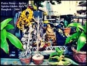 Stieg Larsson - Pedro Meier Atelier Tropen Garten Bangkok – Blumen Und Skulpturen – 2004