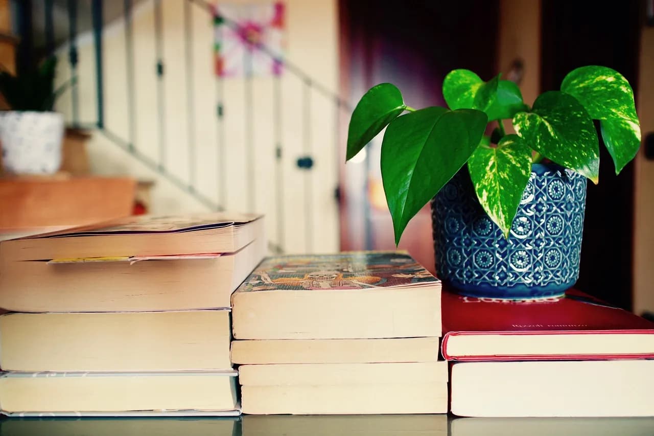 Isamu Akasaki — books, free time, reading, nature, culture, plant, professor, study, agenda, relax, gardening, writers, library, bookshelf