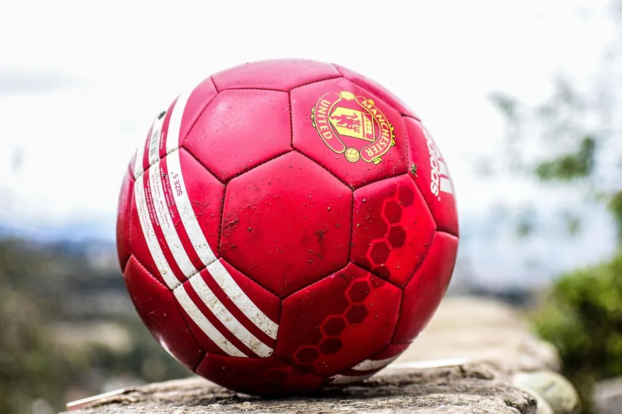 Mário Zagallo — soccer, football, ball, sports, red ball, sport