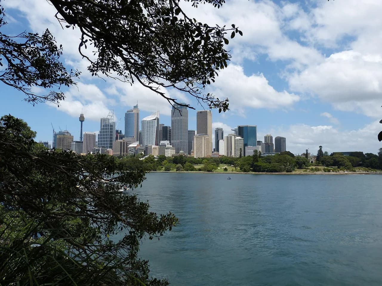 Sidney Kibrick — sidney, australia, city, water, tourism, outlook, skyscraper, skyscrapers, skyline, bay, nature, architecture