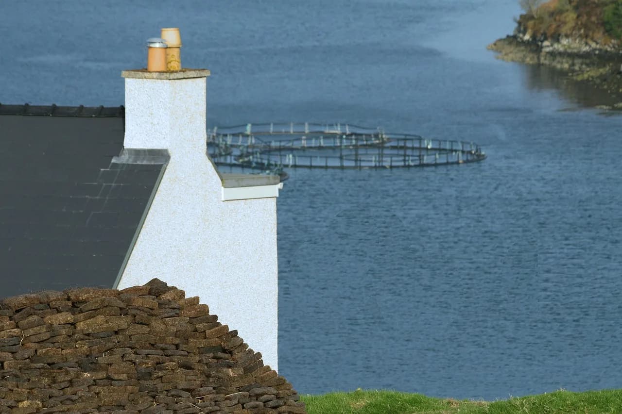 Dash Crofts — fish farm, loch, peat, croft, blue farm, fish farm, fish farm, fish farm, fish farm, fish farm