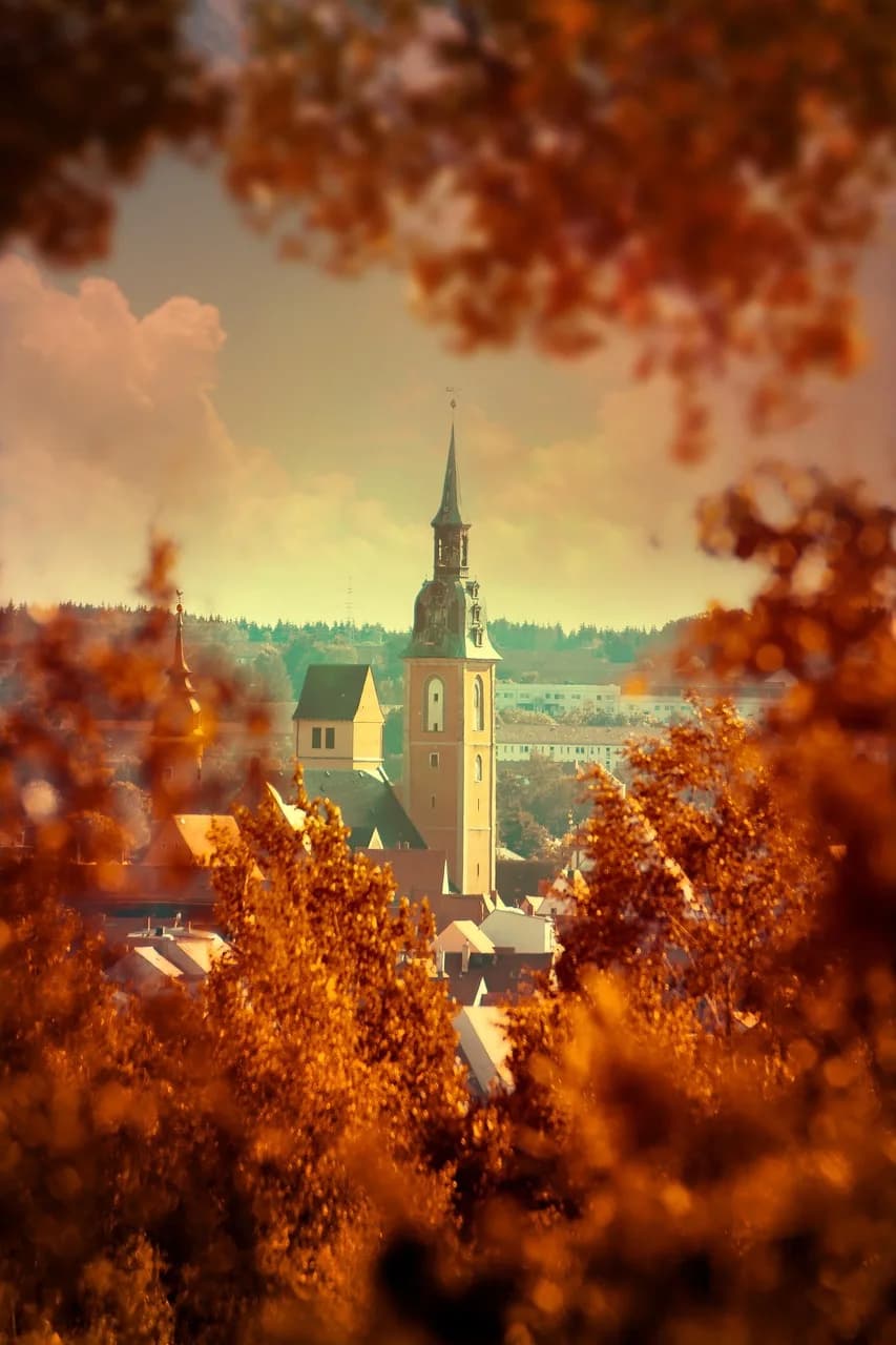 Otto Fritz Meyerhof — petrikirche, freiberg, upper market, market, fountain, bergakademie, otto the rich, places of interest, middle ages, architecture, historical, tourism, germany, building, nature, sun, backlighting, eve, facade, city