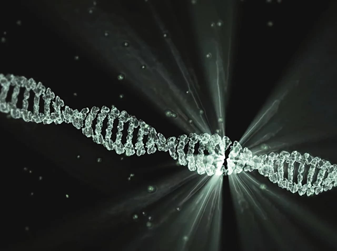 Walter Rudolf Hess — dna, project lumina, walter waymann, dna, dna, dna, dna, dna