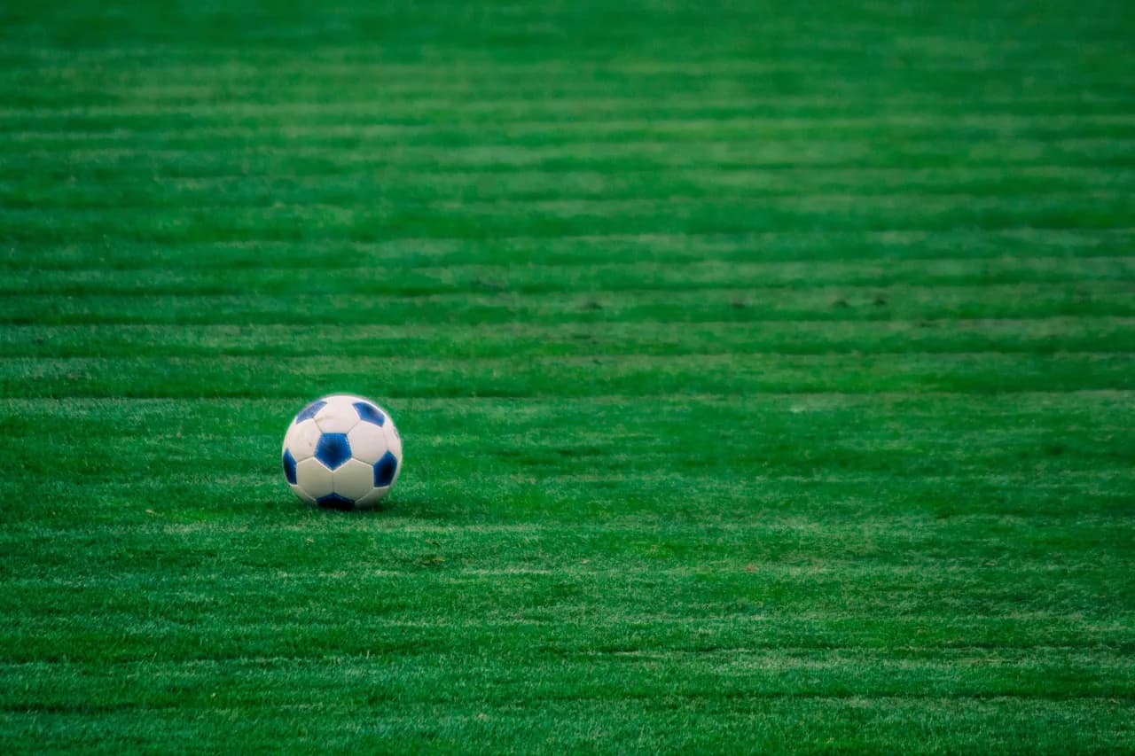 Masashi Watanabe — the ball, football, nature, green, stadion, lawn, footballers, grass, sport