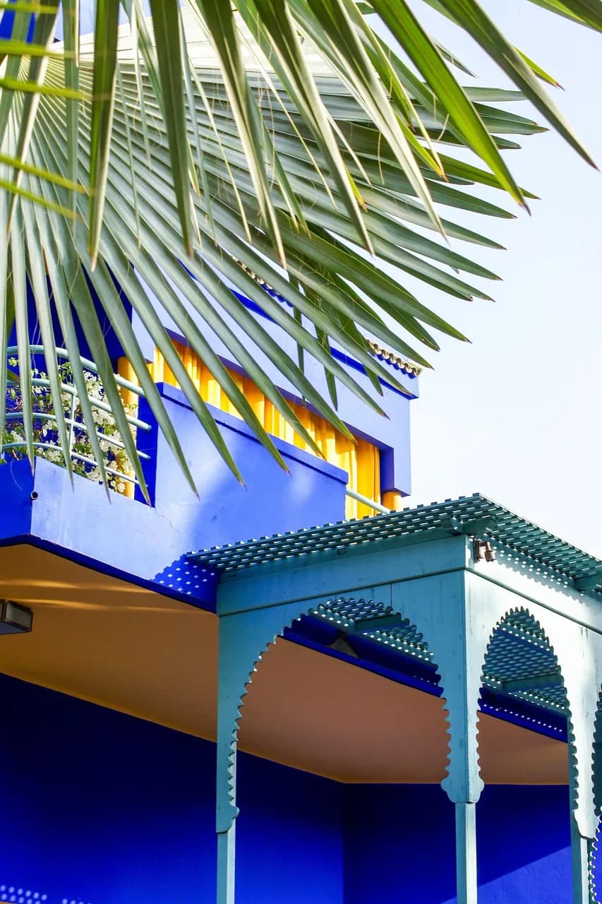 James Mirrlees — architecture, nature, tropical, garden, leaves, palm tree, park, james