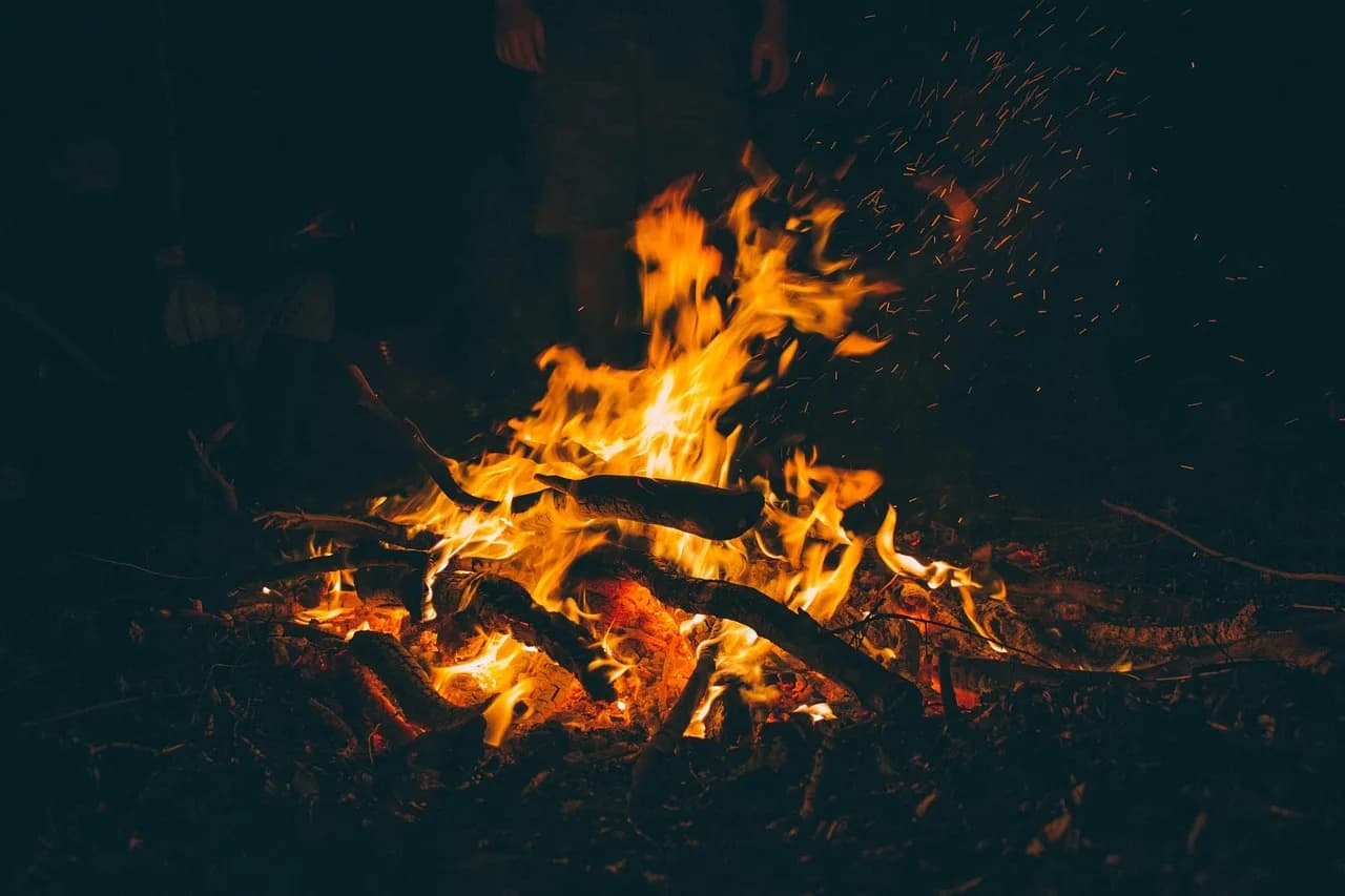 Muriel Spark — bonfire, burning, campfire, dark, fire, firewood, flames, flaming, embers, heat, hot, night, burn, bonfire, bonfire, campfire, campfire, fire, fire, fire, fire, fire