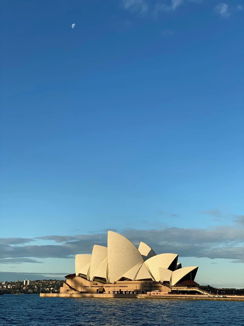 Sydney Pollack — sydney, nature, australia, sun