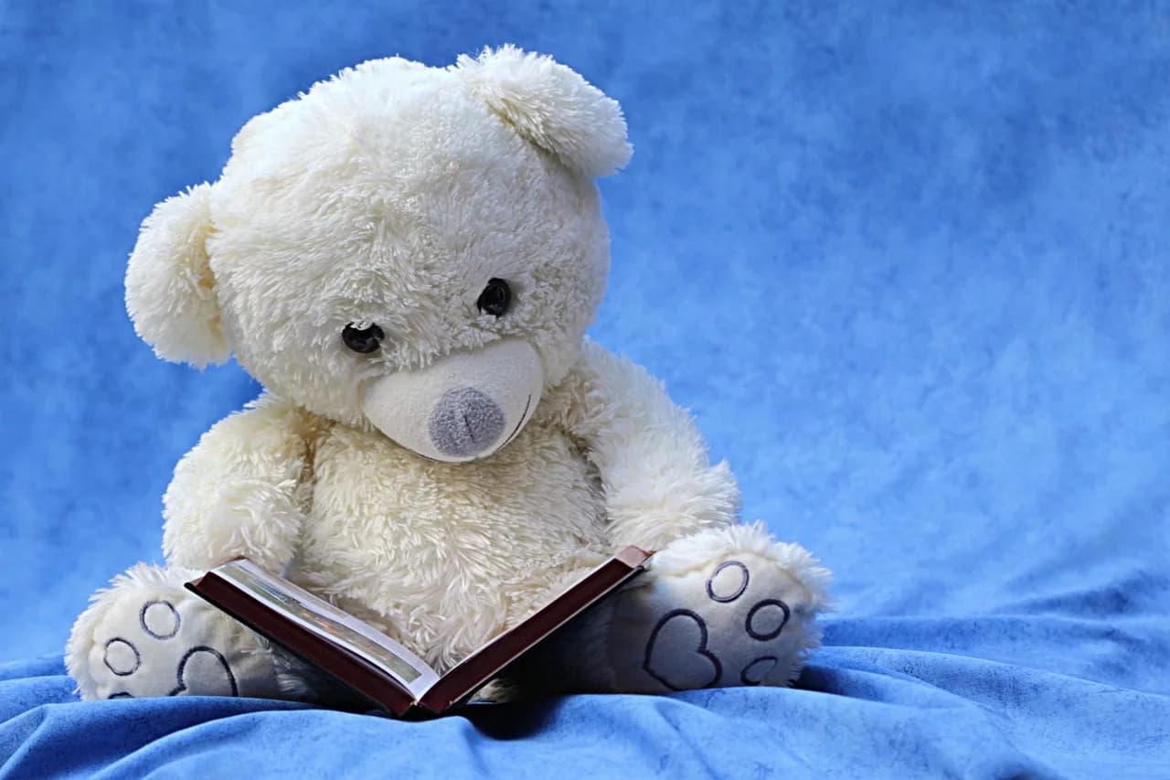 Herbert A. Hauptman — still life, teddy, white, read, a book, background blue, still life, still life, still life, teddy, teddy, teddy, teddy, teddy, a book, a book, a book, a book