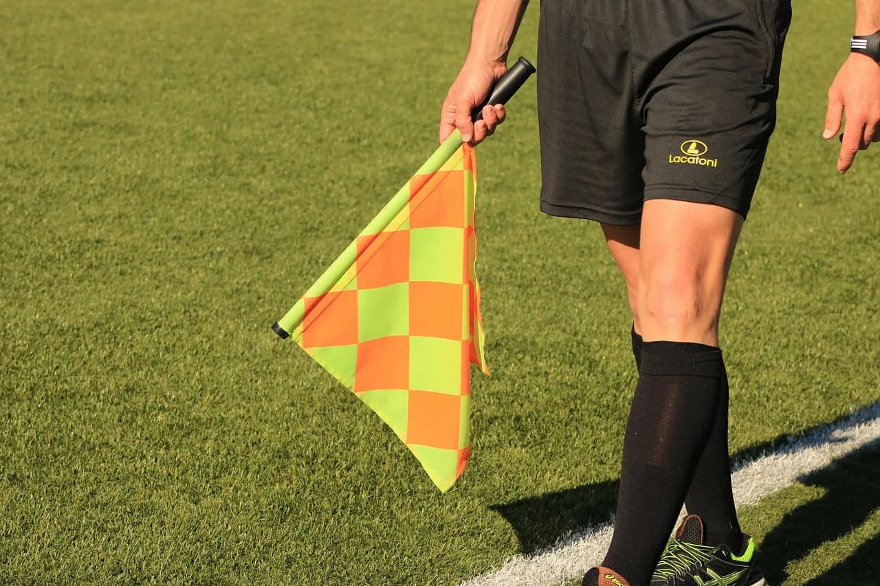 Teiichi Matsumaru — flag, lineman, referee, soccer match, field, sport, football, lawn, match, soccer field, game, team, move, referee, referee, referee, referee, referee