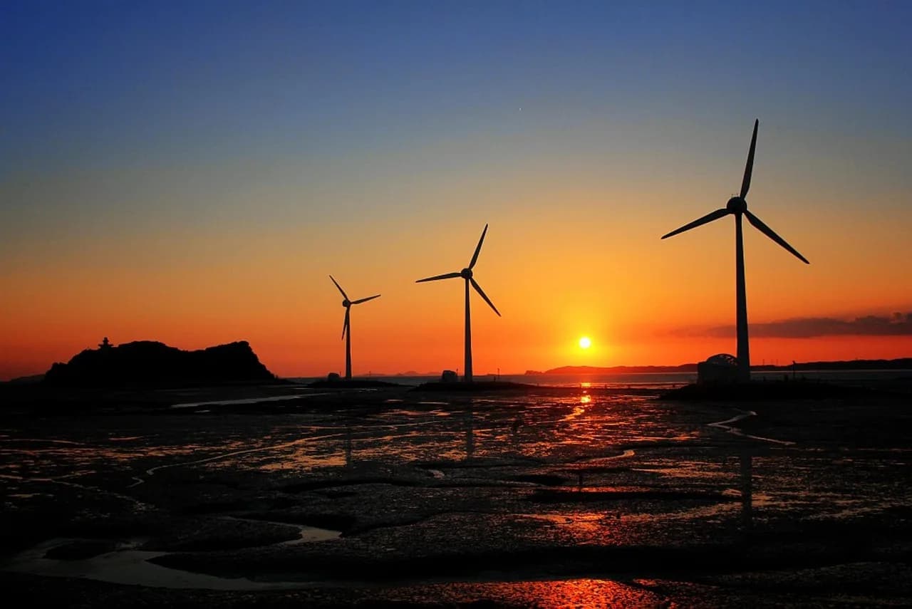 Joe Flaherty — camel joe, wind power, island, foreshore, landscape, nature