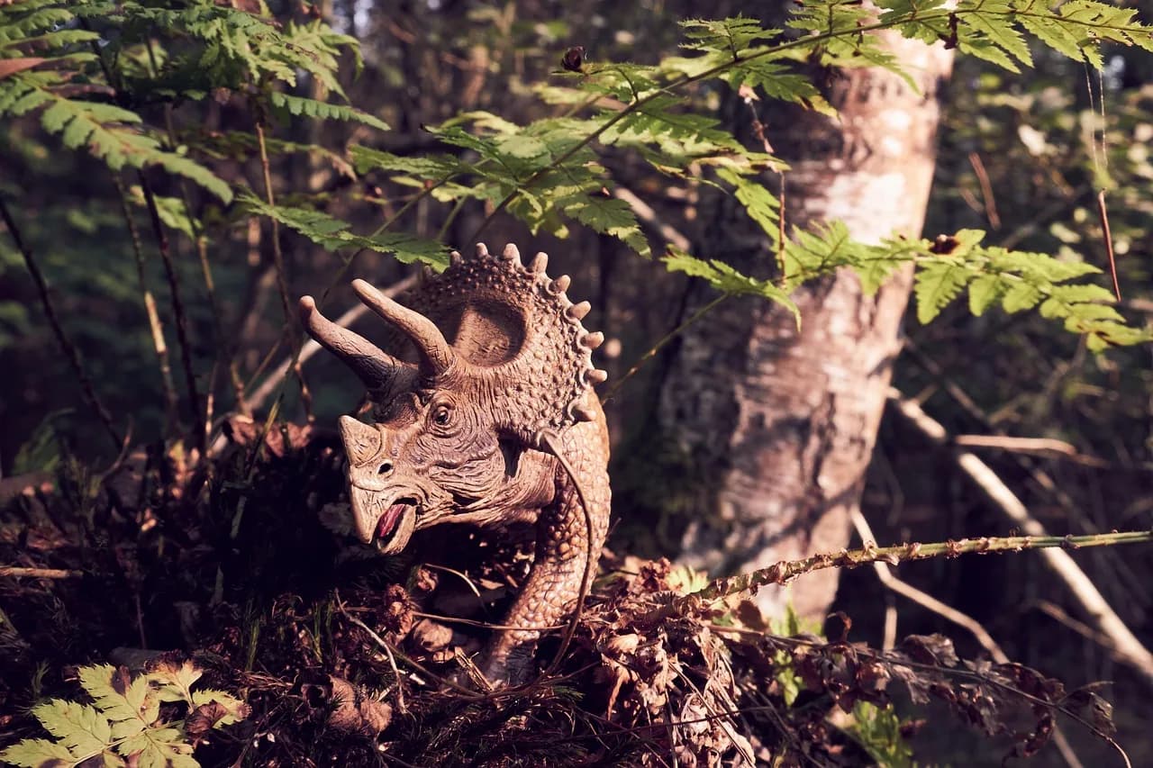 Dino Risi — dinosaur, nature, triceratops, dino, forest
