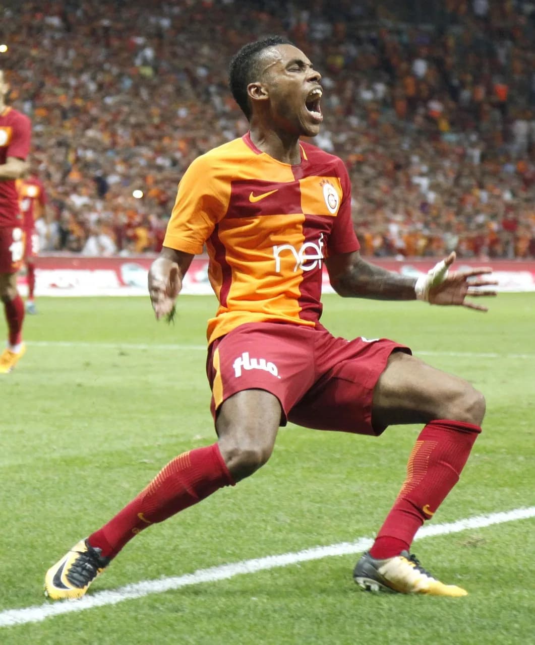 Garry Shandling — garry mendes rodrigues, galatasaray, lion, goal of happiness, super league, nature, scorer, kicker, football