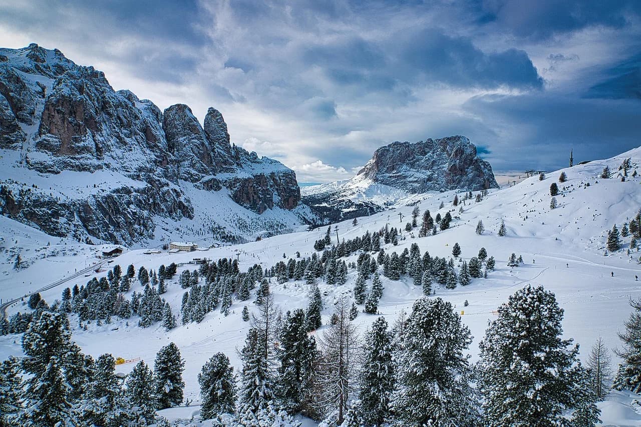 Val Logsdon Fitch — trees, forest, woods, snow, dolomites, nature, sella, val gardena