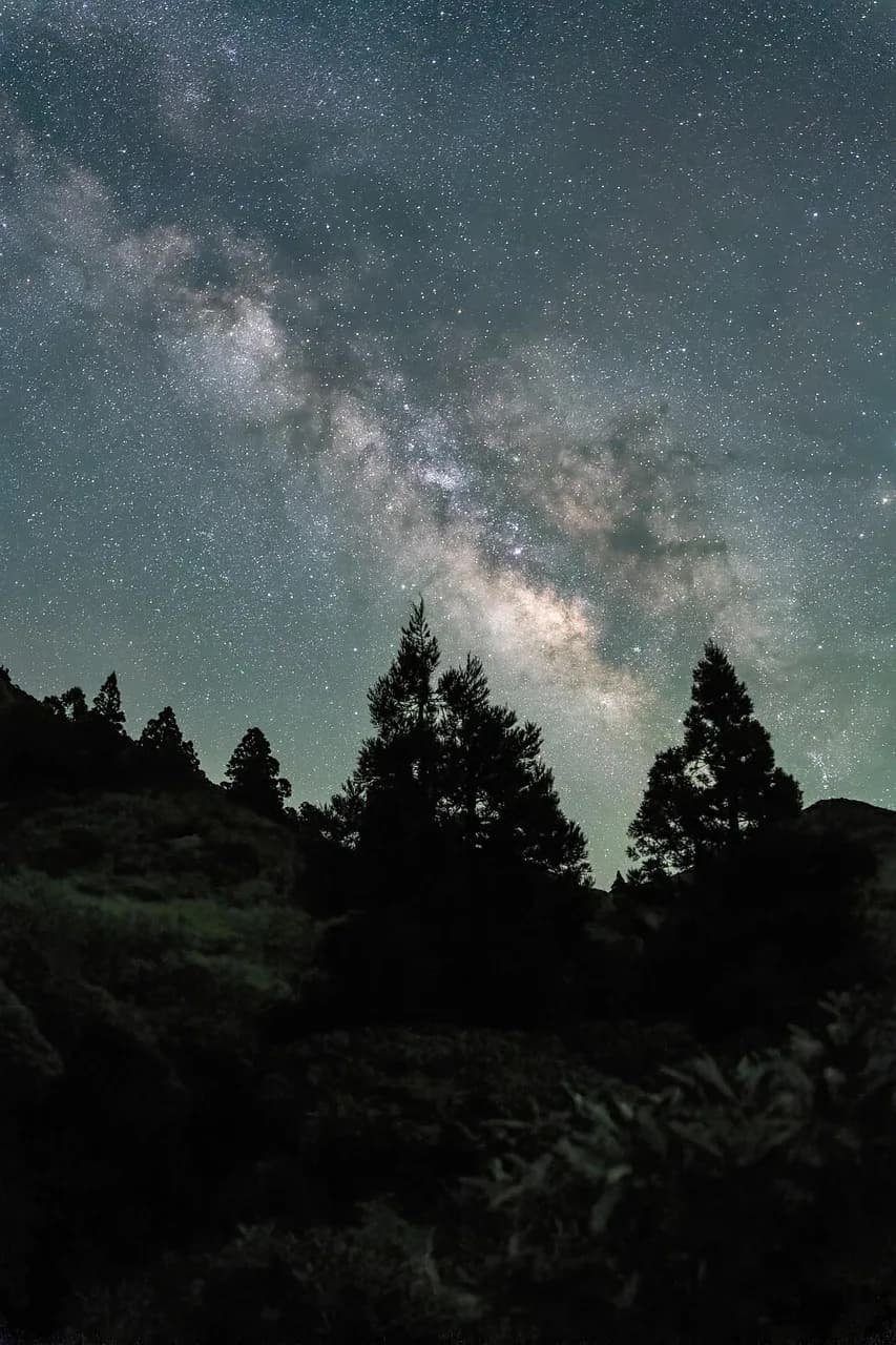 Henry Way Kendall — starry sky, universe, milky way, grove, cedar, yakushima highlands, japan, universe, universe, universe, universe, universe