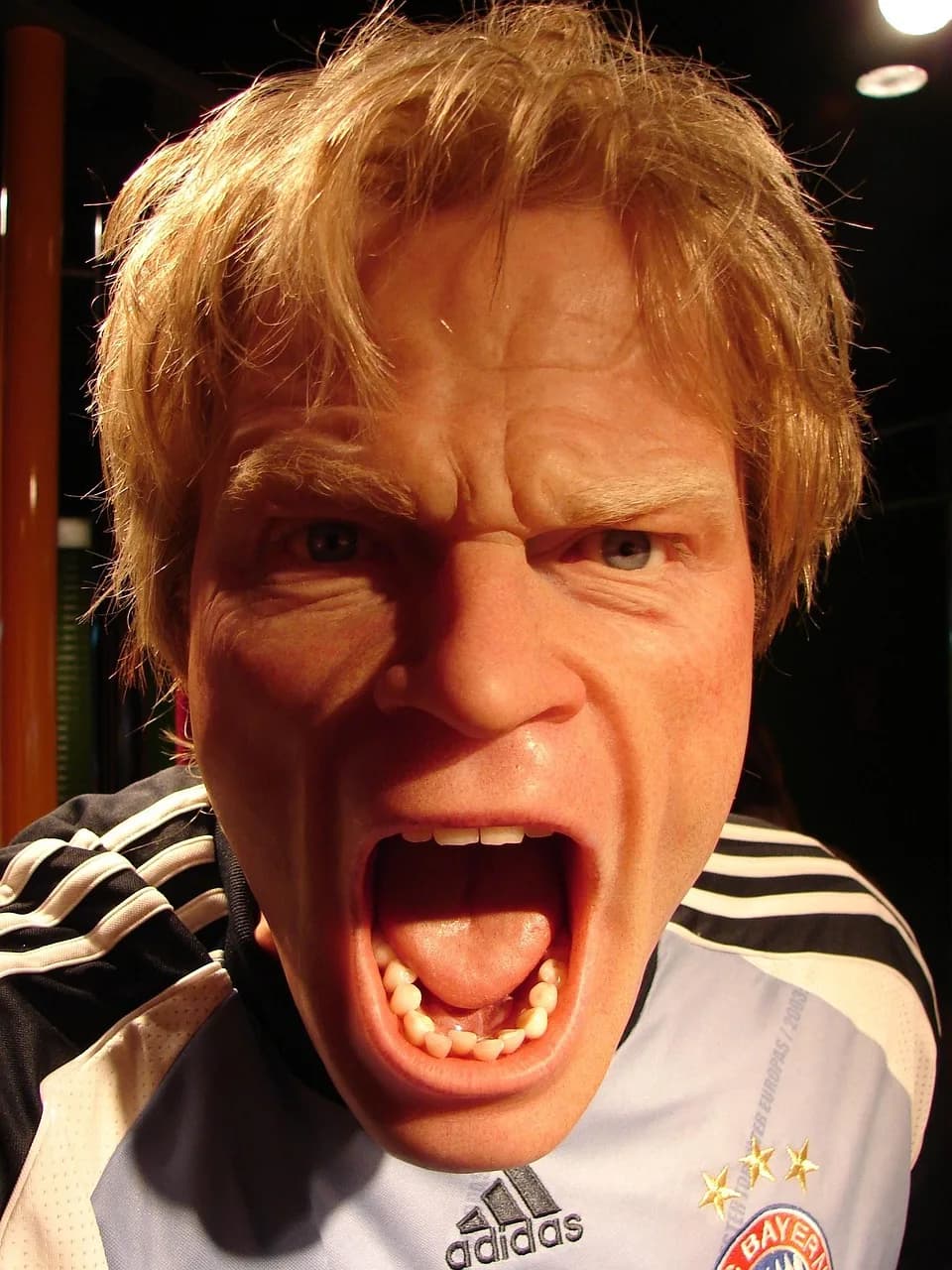 Oliver E. Williamson — oliver kahn, man, human, football, wax figure, real, rage, angry, scream, rage, rage, angry, angry, angry, angry, angry, scream, scream