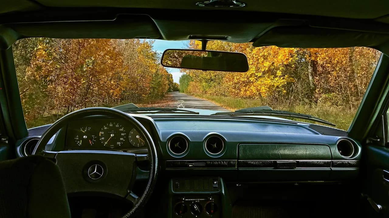 Robert W. Holley — mercedes, car wallpapers, mercedes w123, retro, autumn, road, nature, landscape, ukraine, peace, silence, calmness, car, vintage, old, natural