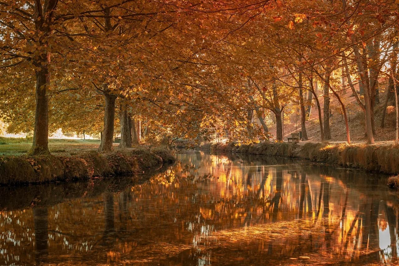 Abraham de Moivre — forest, river, autumn, woods, fall, nature, lake, landscape, caravaca de la cruz, spain, forest, forest, forest, river, river, river, autumn, autumn, fall, nature, nature, nature, nature, nature, landscape, landscape, landscape, spain, spain, spain