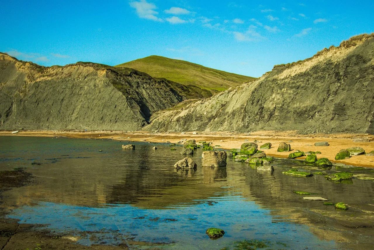 Frederick Chapman Robbins — chapman's poole, dorset, jurassic coast