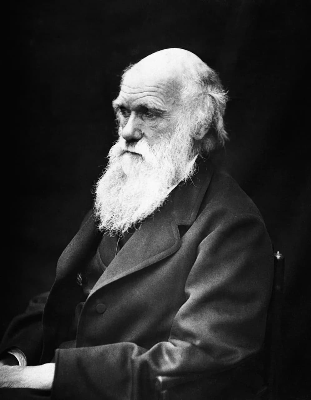 Robert Ludlum — charles robert darwin, scientists, naturalist, theory of evolution, black-and-white, evolution, evolution, evolution, evolution, evolution, evolution