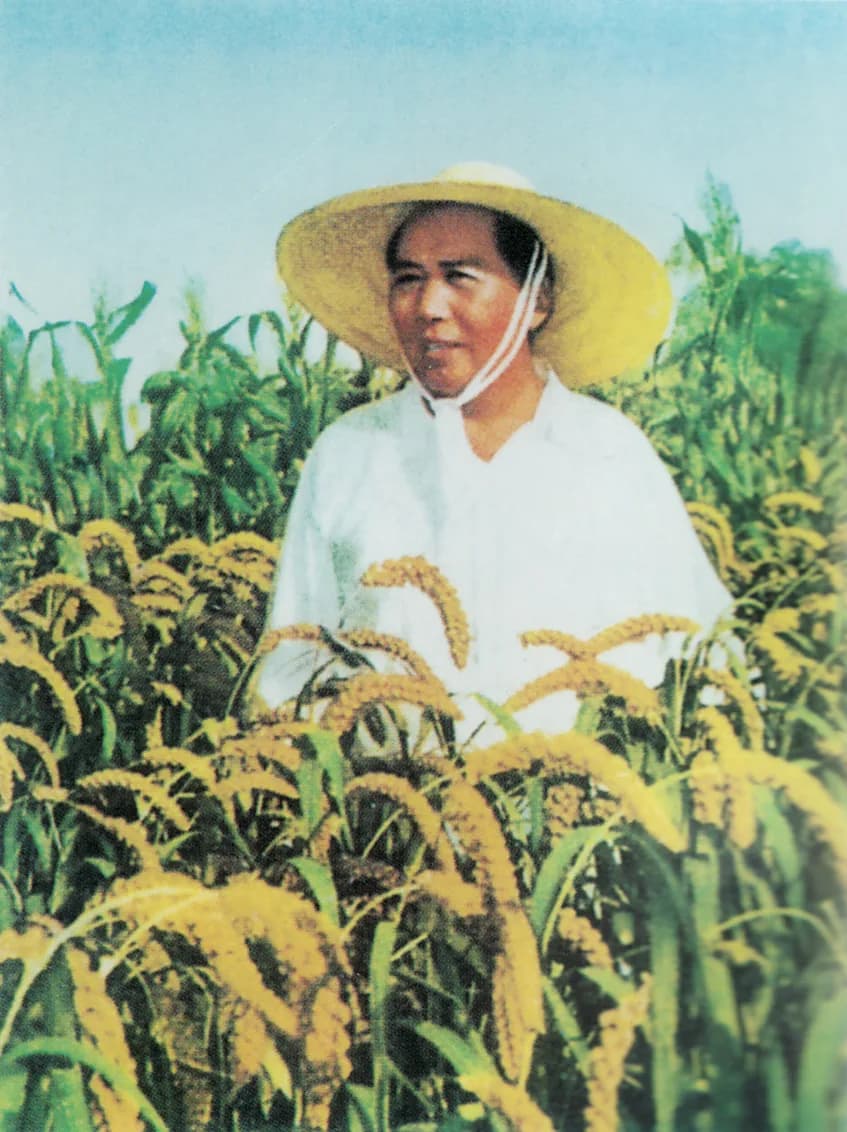 Mao Zedong - Photo of Mao Zedong in a rice field with hat, from Quotations from Chairman Mao Tse-Tung