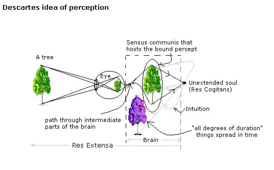 René Descartes - Descartes idea of perception
