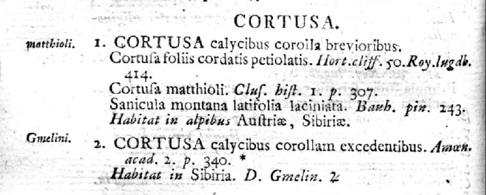 Carl Linnaeus - Cortusa matthioli. Description of the plant made by Linnaeus at Species plantarum