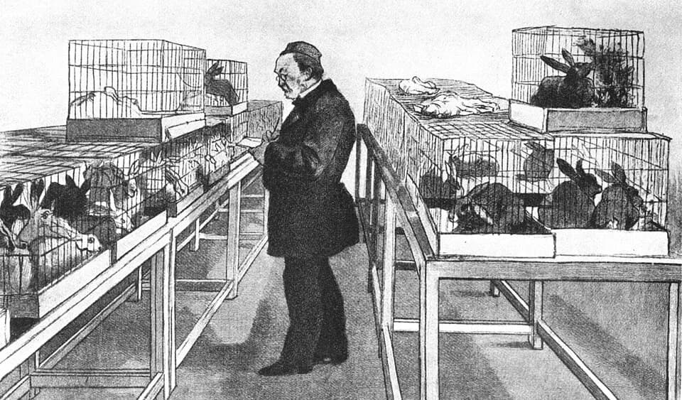 Louis Pasteur - Pasteur bei seinen Versuchstieren (Zeichunung nach der Natur von M. Renourad aus der "Illustration" 1884)