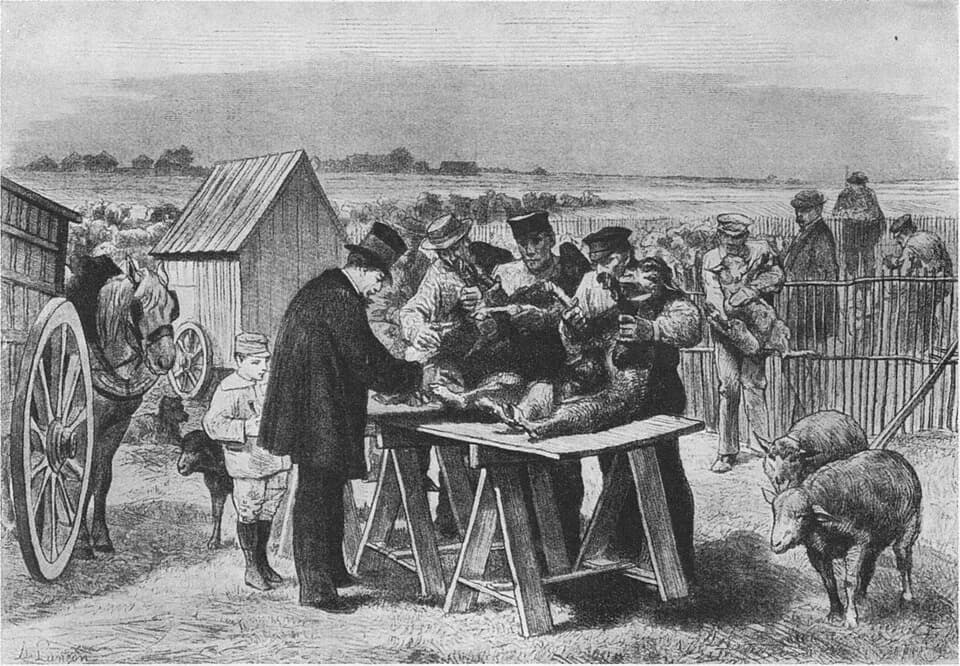 Louis Pasteur - Louis Pasteur Schafimpfung in Pauly-le-Fort, 31.Mai.1881