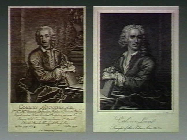 Carl Linnaeus - R. Burgess, Portraits of doctors &amp; scientists in the Wellcome Institute, London
Carolus Linnaeus. Stipple engraving by W. Evans,
1806, after Ehrensverd.
1 print
R. Burgess, Portrai