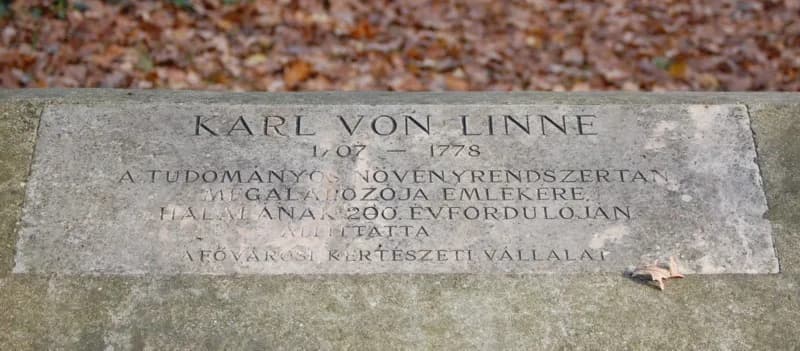 Carl Linnaeus - Carl von Linné commemorative plaque in Budapest District X, People's Park.