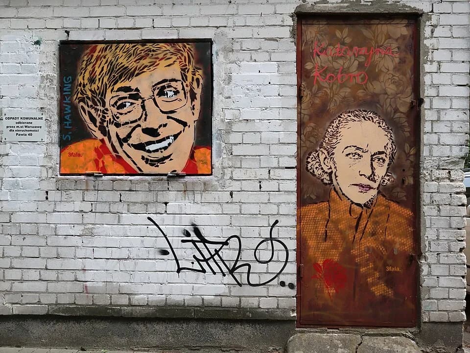 Stephen Hawking - Murale upamiętniające Stephena Hawkinga oraz Katarzynę Kobro na ścianie śmietnika na tyłach budynku przy ulicy Pawiej 40 w Warszawie.