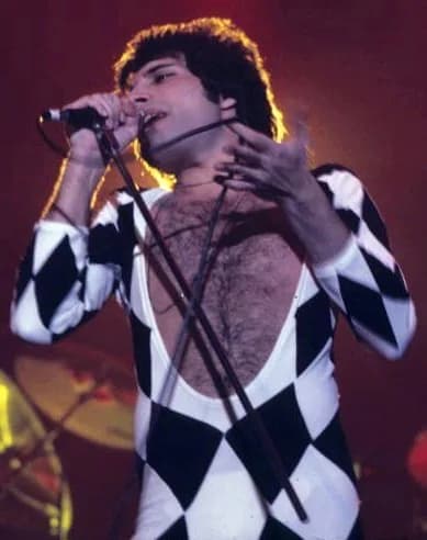 Freddie Mercury - Freddie Mercury performing at New Haven Coliseum in New Haven, CT
Photography in portrait format, in color.
Freddie's upper body from the waist to the head takes up the entire image.