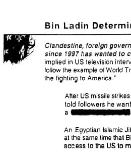 Osama bin Laden - Bin-ladin-pdb-corner.jpg
