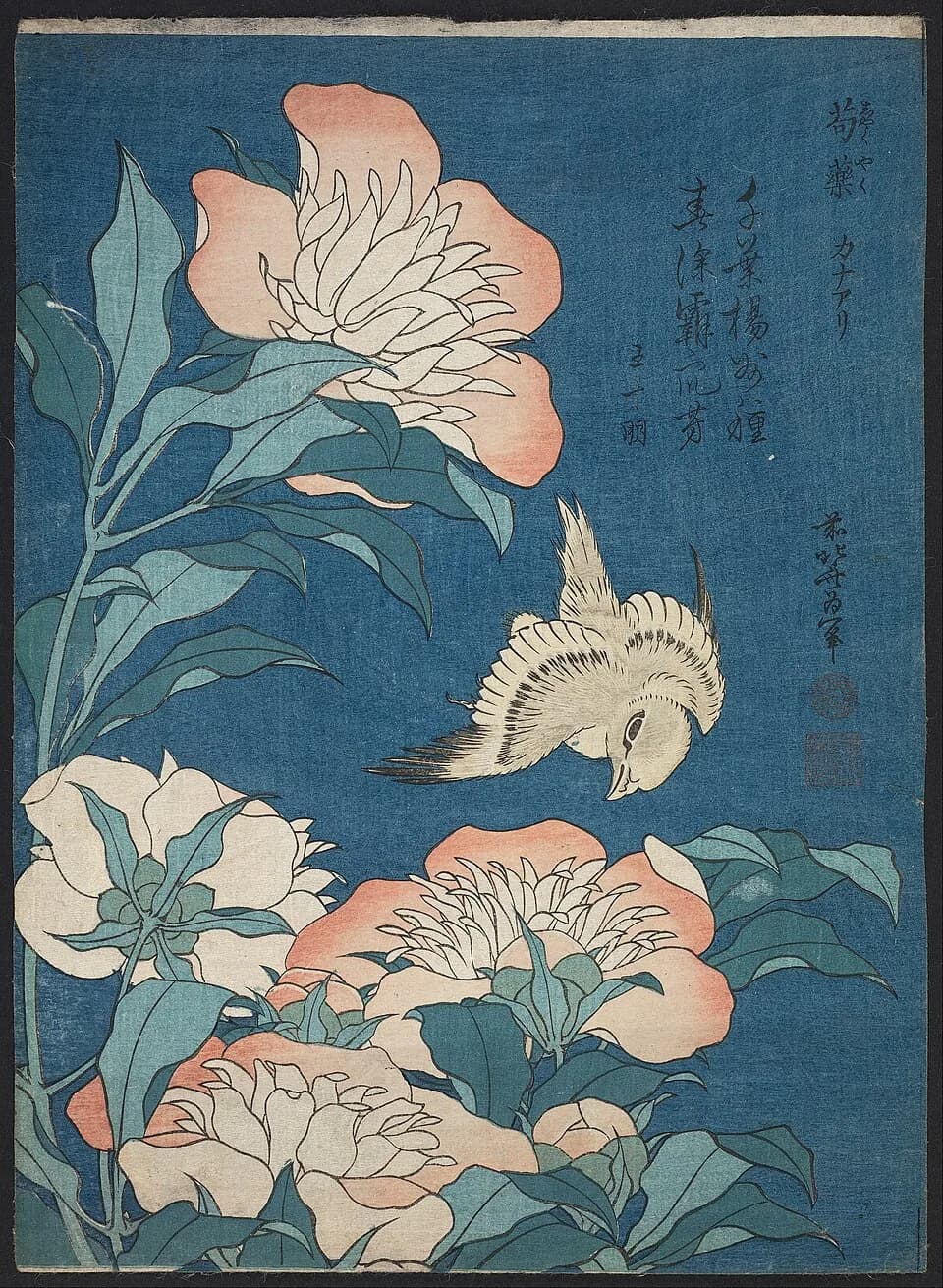 Katsushika Hokusai - Katsushika Hokusai, published by Nishimuraya Yohachi (Eijudō) - Peonies and Canary (Shakuyaku, kanaari), from an untitled series known as Small Flowers - Google Art Project.jpg