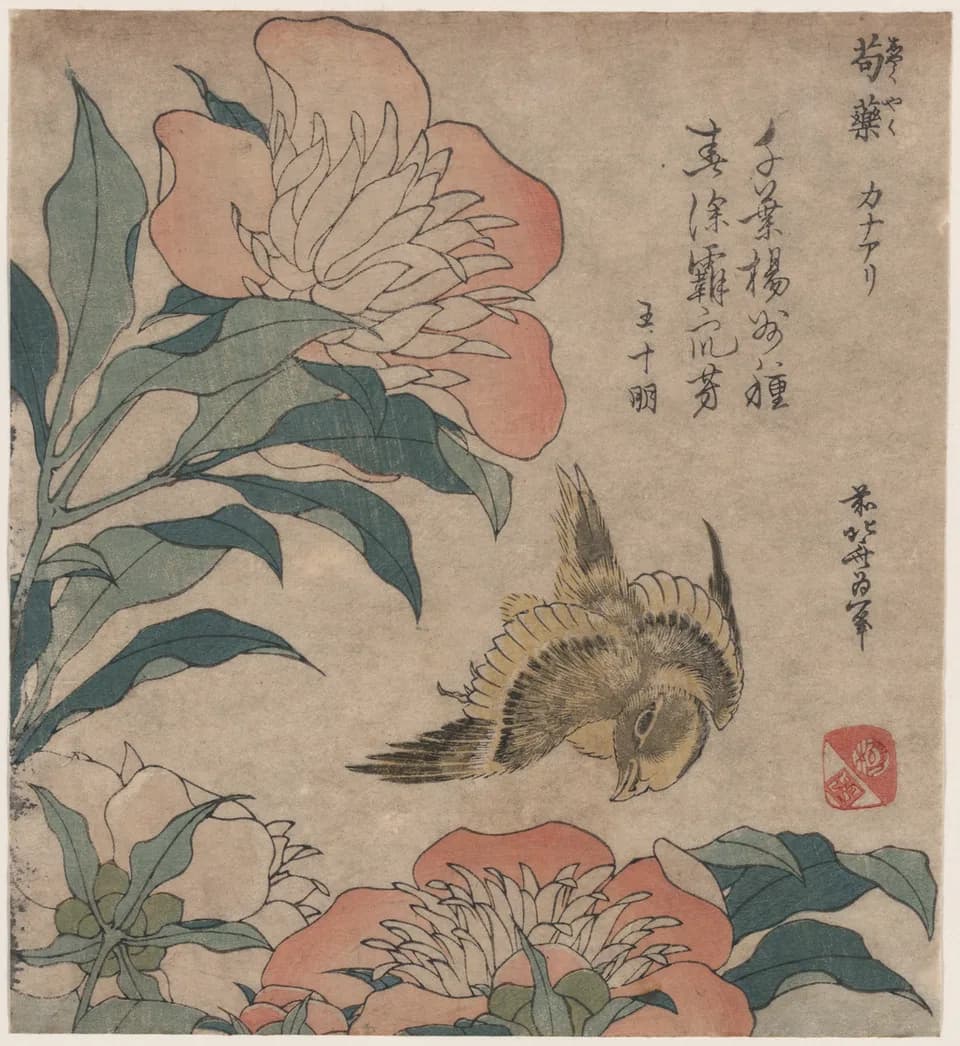 Katsushika Hokusai - The Japanese art of Ukiyo-e (“Pictures of the floating [or sorrowful] world”) developed in the city of Edo (now Tokyo) during the Tokugawa or Edo Period (1600-1868), a relatively 