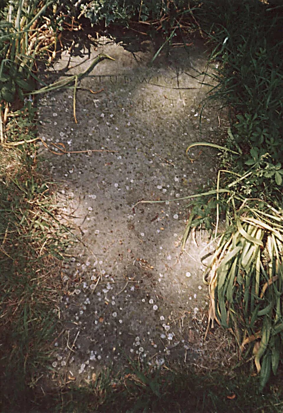 Ludwig Wittgenstein - Ludwig Wittgenstein's gravestone in the graveyard of the chapel for Ascension Parish Burial Ground off Huntingdon Road, Cambridge.