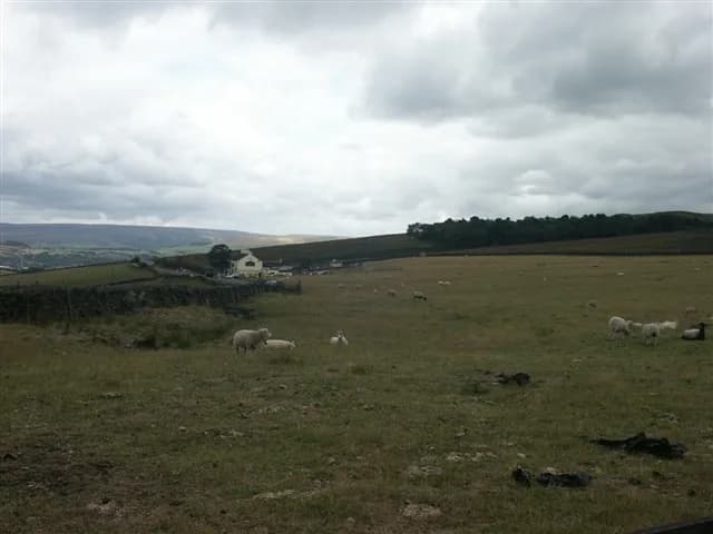 Ludwig Wittgenstein - The Grouse Inn and Chunal Plantation. Beyond are the moors above Glossop.