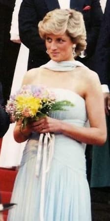 Diana, Princess of Wales - Diana, Princess of Wales, at the Cannes film festival.