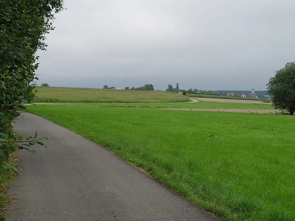 Martin Heidegger - Am Feldweg, Meßkirch, Baden-Württemberg (Heidegger's field path he often used to promenade) - (le "chemin à travers champs" (le "Feldweg") ou il se promenait pendant qu'il avait ses