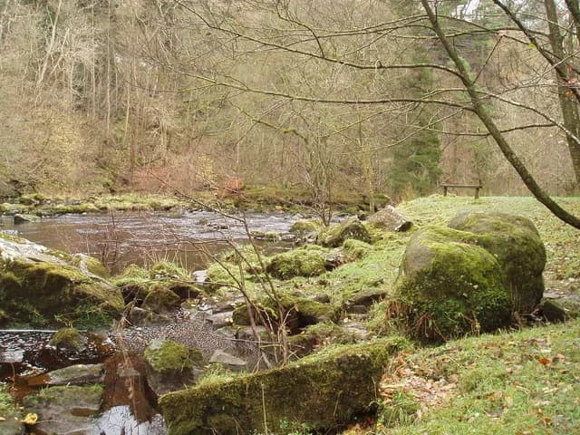 Walter Scott - Popping Stone The Popping Stone beside the River Irthing near Gilsland. Alledgedly where Sir Walter Scott asked his wife to marry him.