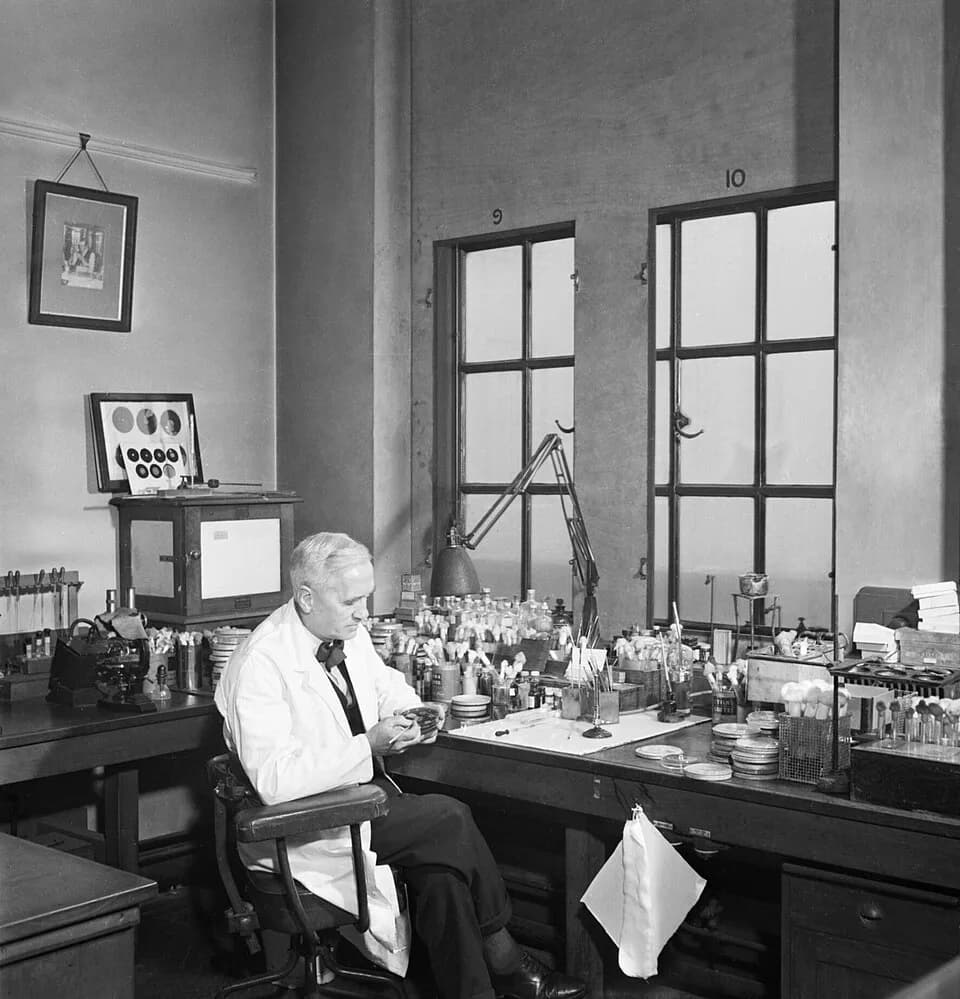 Alexander Fleming - Professor Alexander Fleming at work in his laboratory at St Mary's Hospital, London, during the Second World War.
Professor Alexander Fleming at work in his laboratory at St Mary's