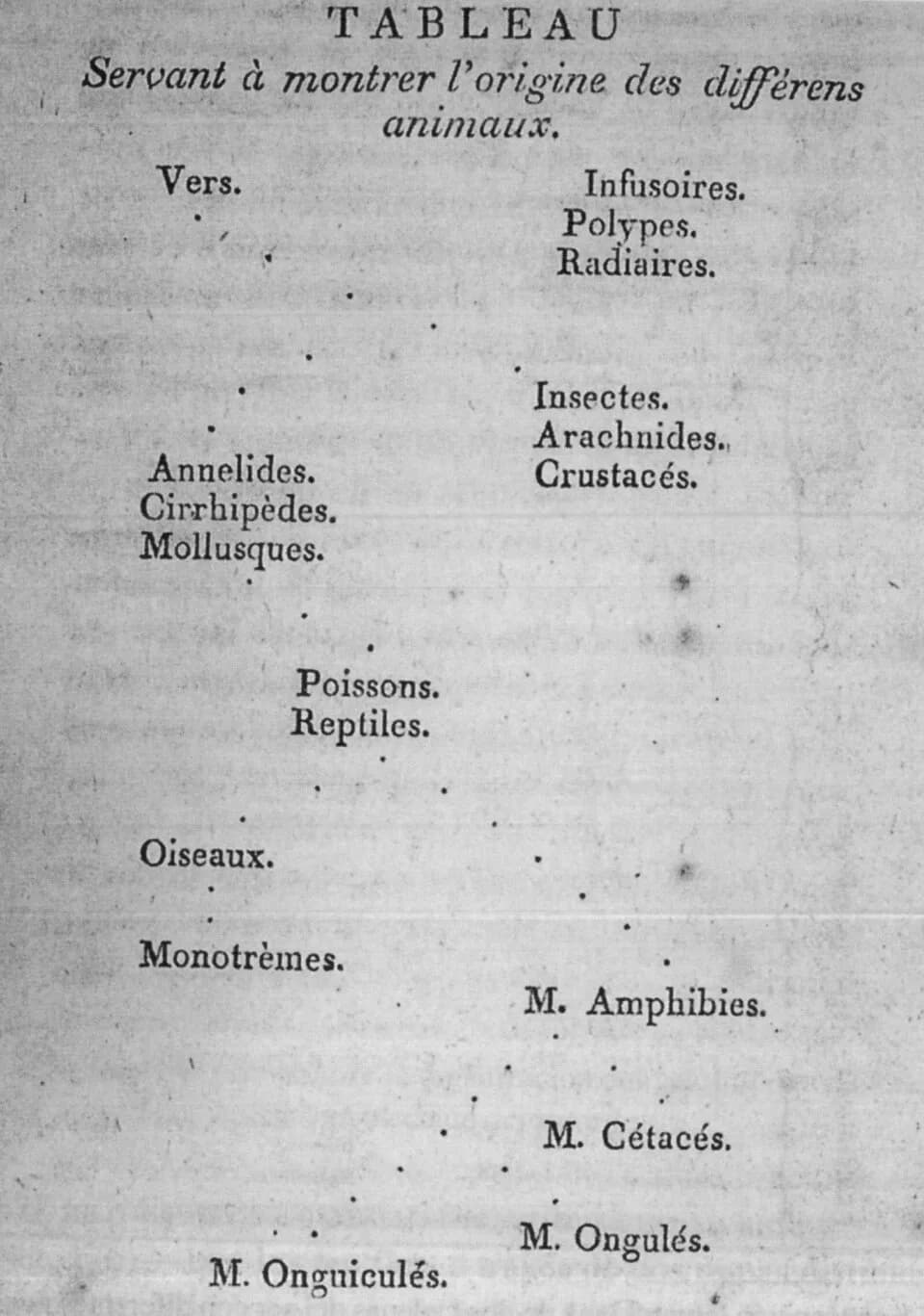 Jean-Baptiste de Lamarck - A schematic exemplar of the theory of evolution of Jean-Baptiste de Lamarck