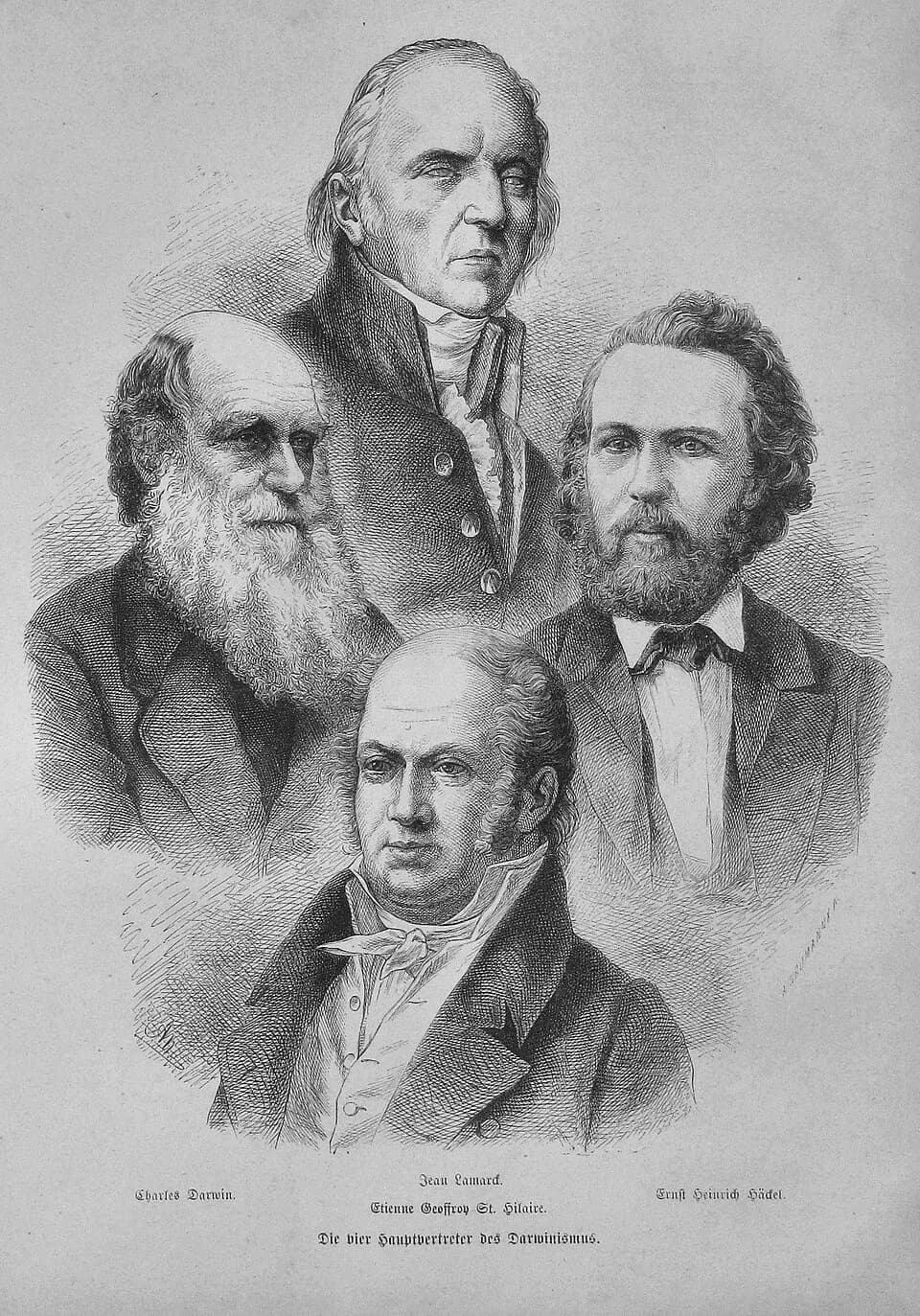 Jean-Baptiste de Lamarck - This image has been extracted from another file