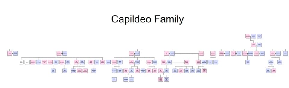 V. S. Naipaul - Family tree of the Capildeo family