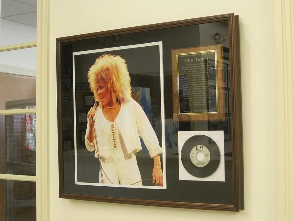 Tina Turner - West Tennessee Delta Heritage Center, 121 Sunny Hill Cove in Brownsville, Tennessee