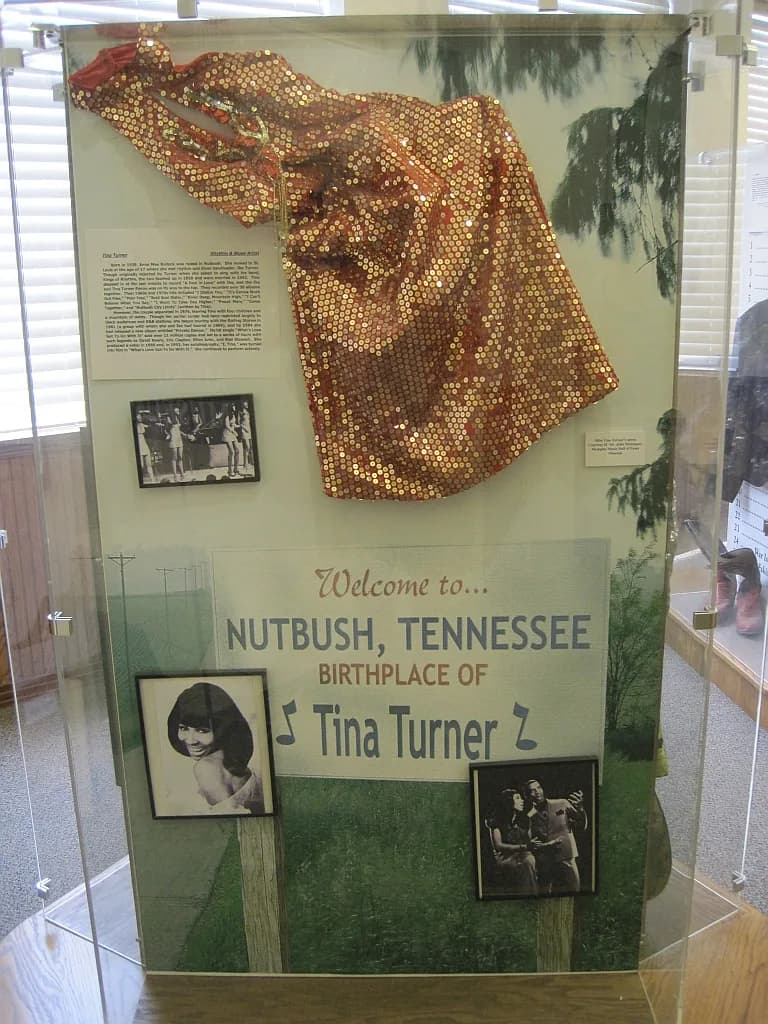 Tina Turner - West Tennessee Music Museum at the West Tennessee Delta Heritage Center, 121 Sunny Hill Cove in Brownsville, Tennessee
